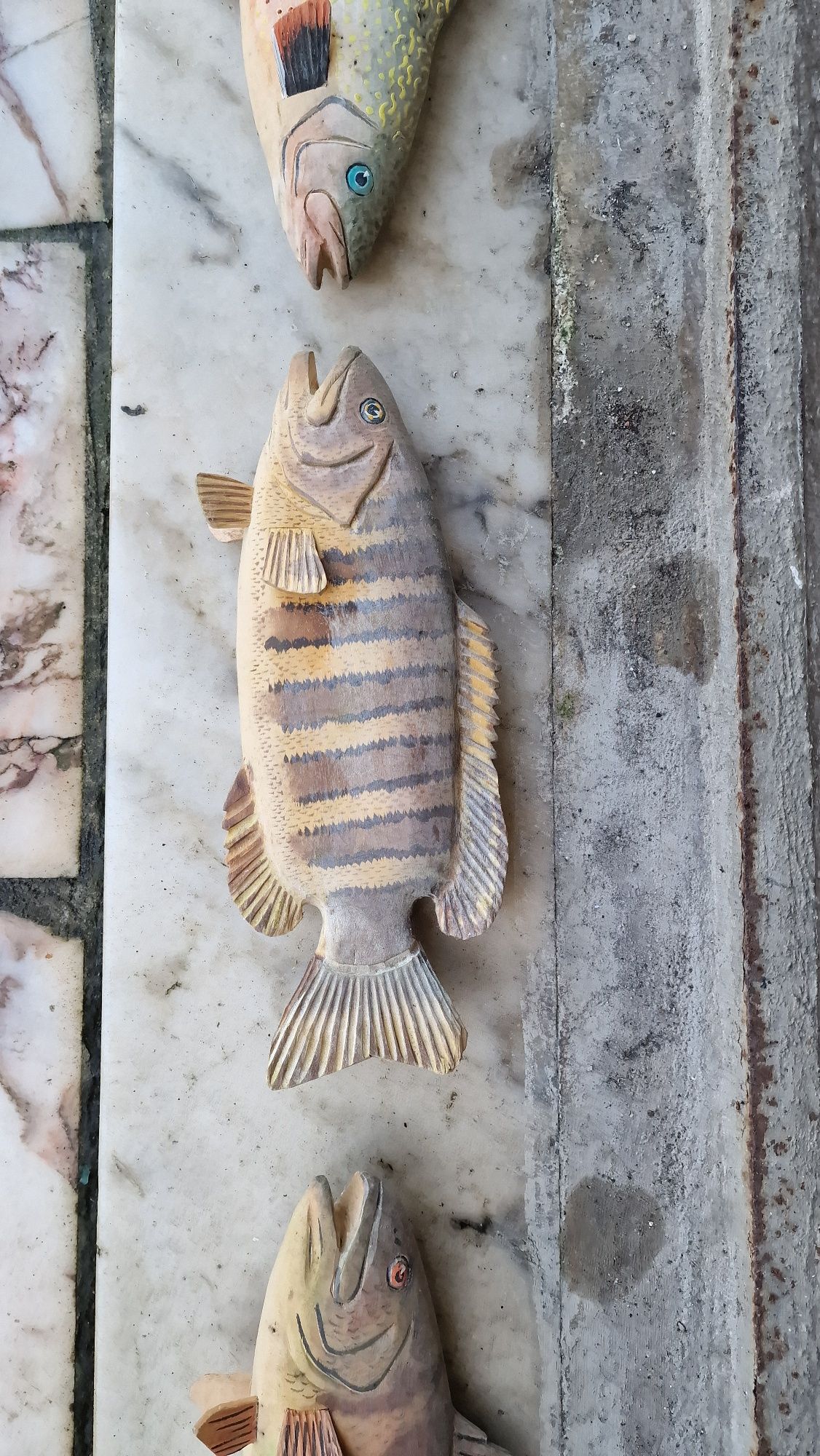 Peixes de Madeira