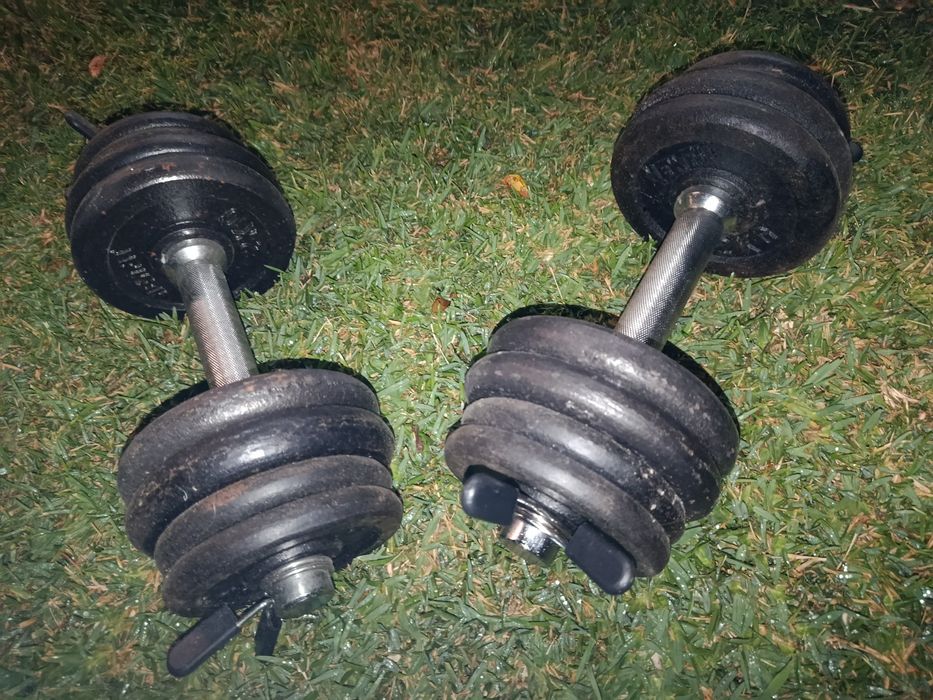 Halteres musculação/roda