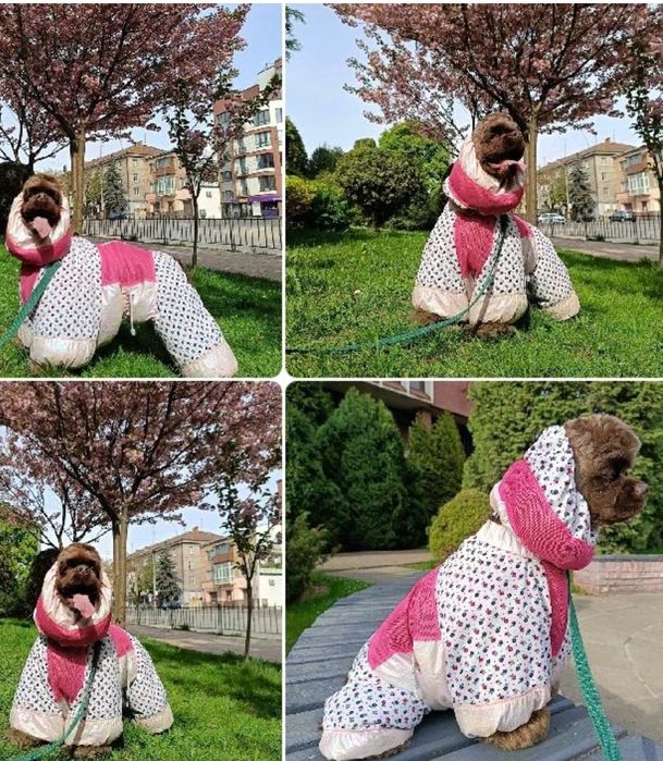 Снуд (шапка)для собаки