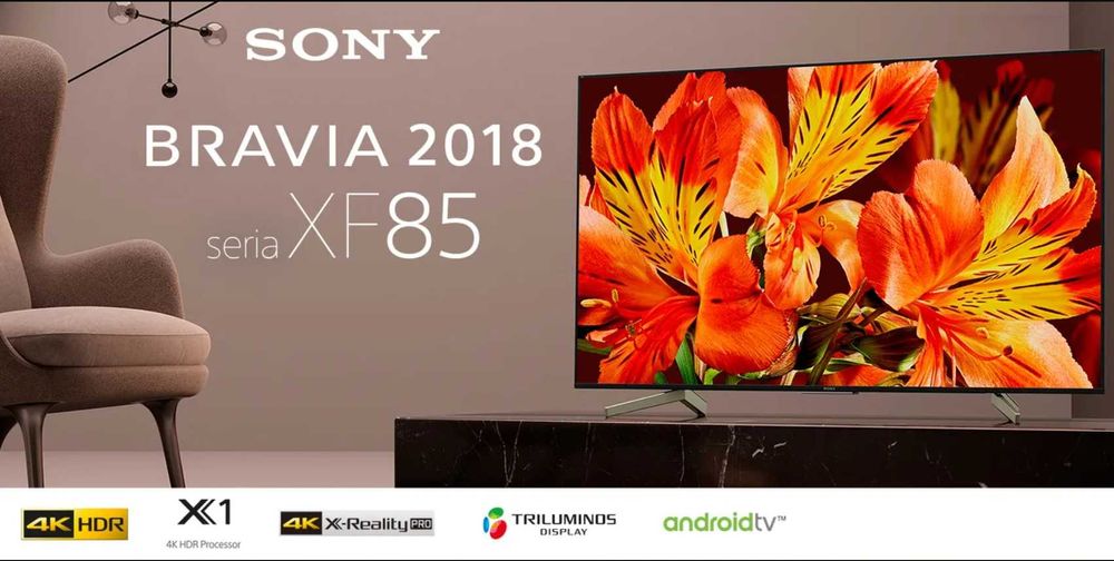 TV Sony Bravia 55 cali