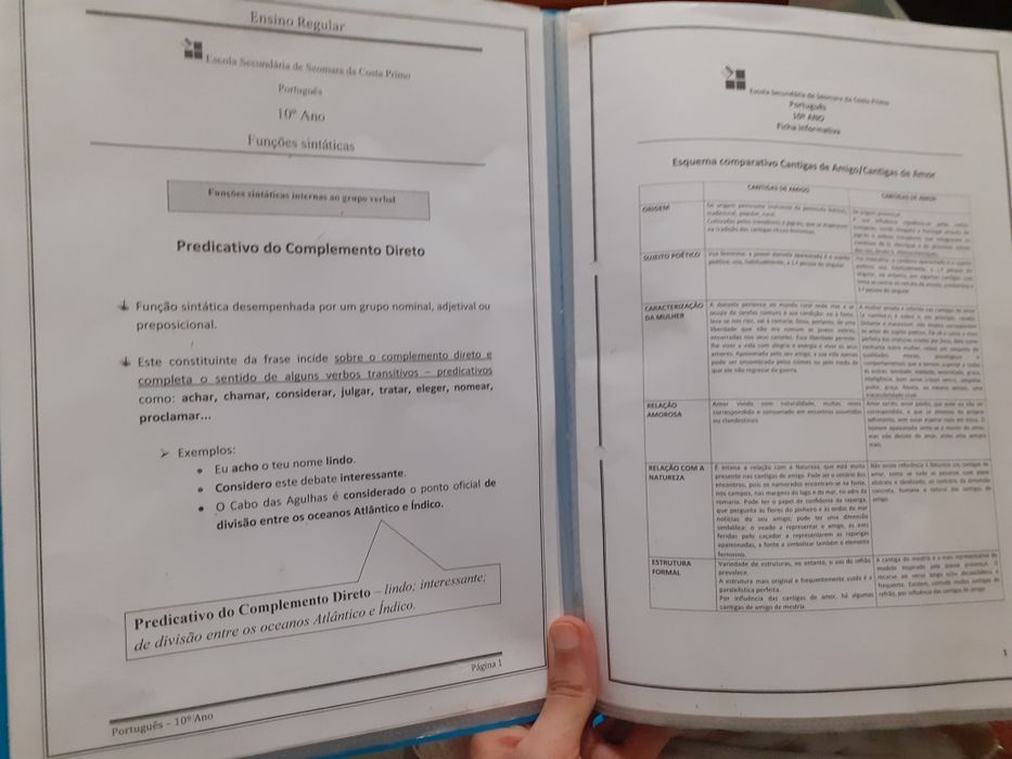 Pasta with informational sheets - Subject matter from 8th to 11th grade64552290940418122