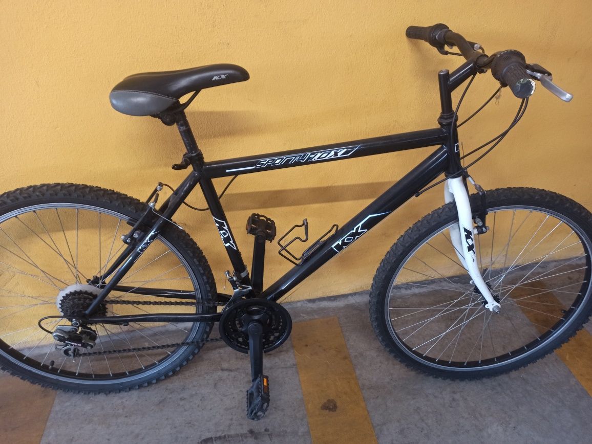 Bicicleta de montanha