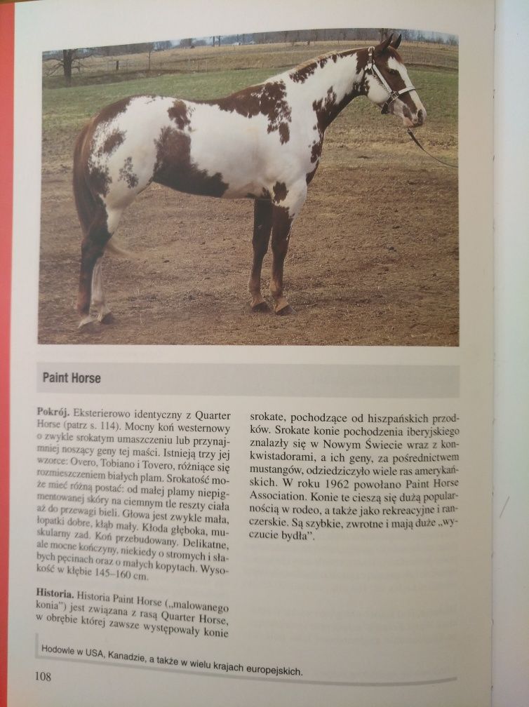 Książka "Rasy koni" Martin Haller