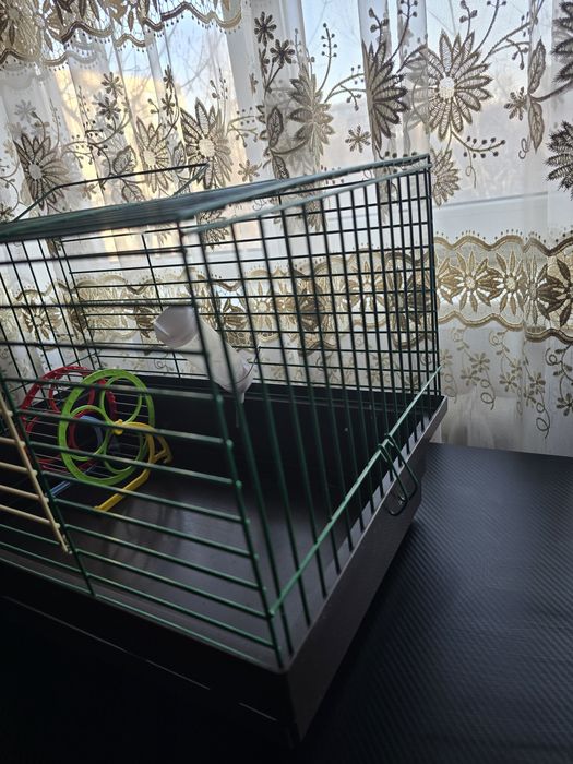 Клітка для хом’яка / гризуна + поїлка та колесо