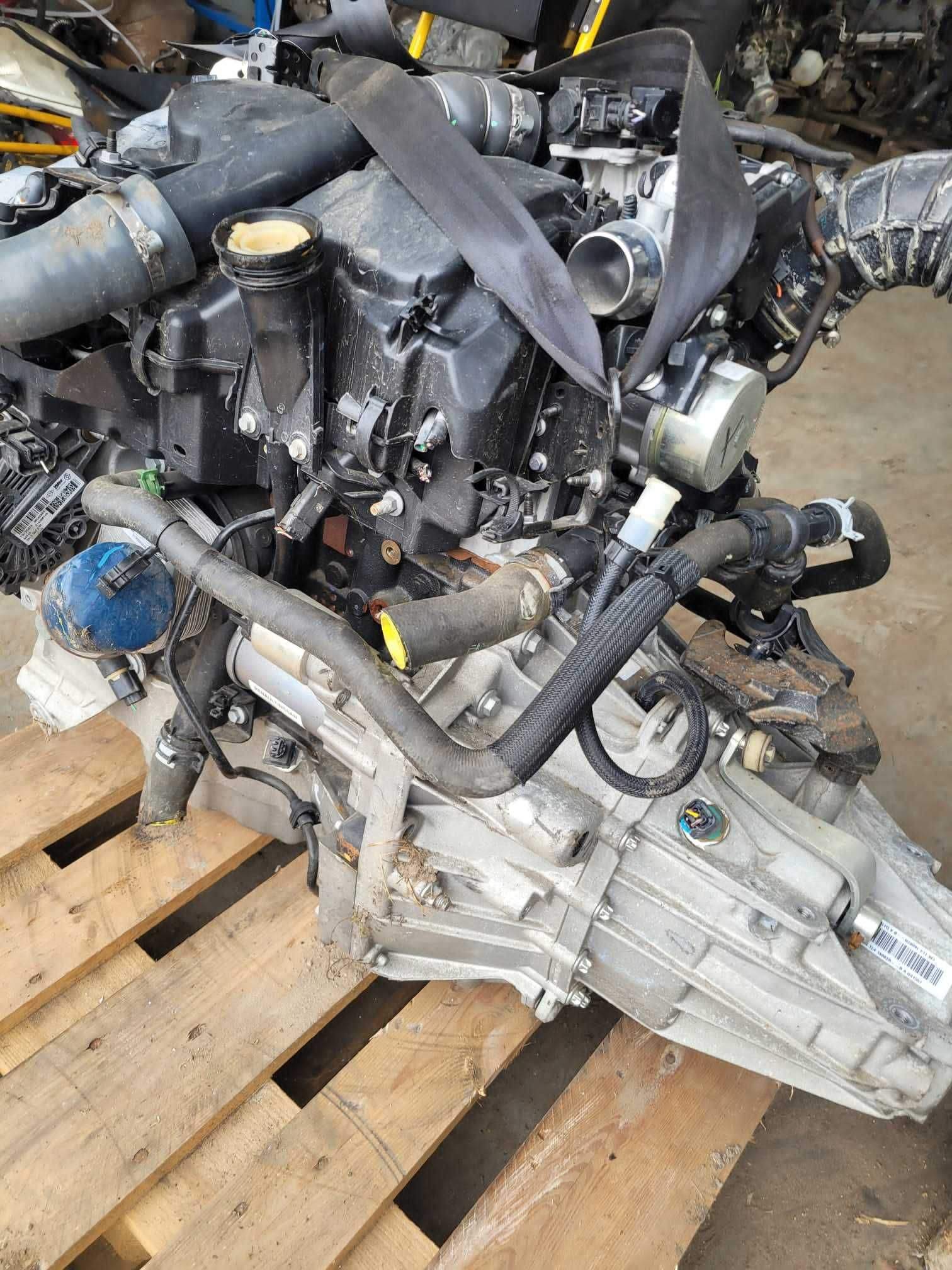 Silnik Kpl Renault  nissan   1.5 Dci K9k 636