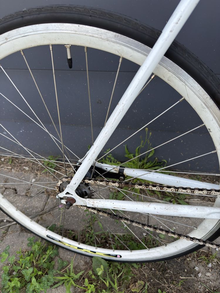 Fixed gear / ostre koło / single speed