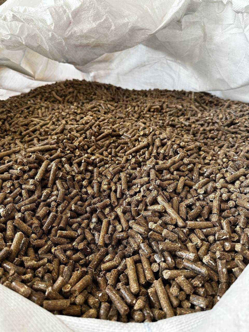 Młóto browarniane suche granulowane – pasza dla bydła mlecznego