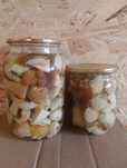 Продам мариновані грибочки