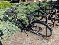 3elops city woman bike