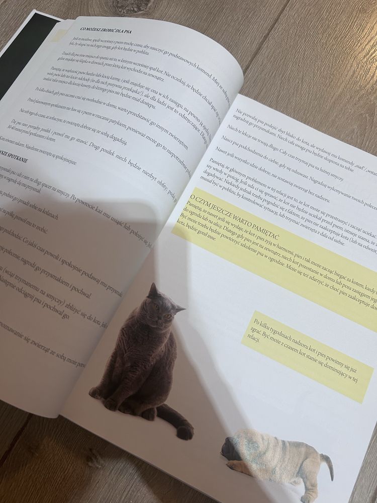 Wielka Encyklopedia Kotów