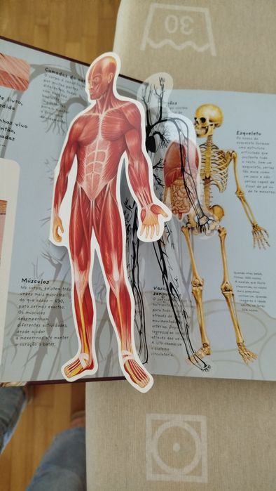 Livro Pop Ups - O corpo Humano