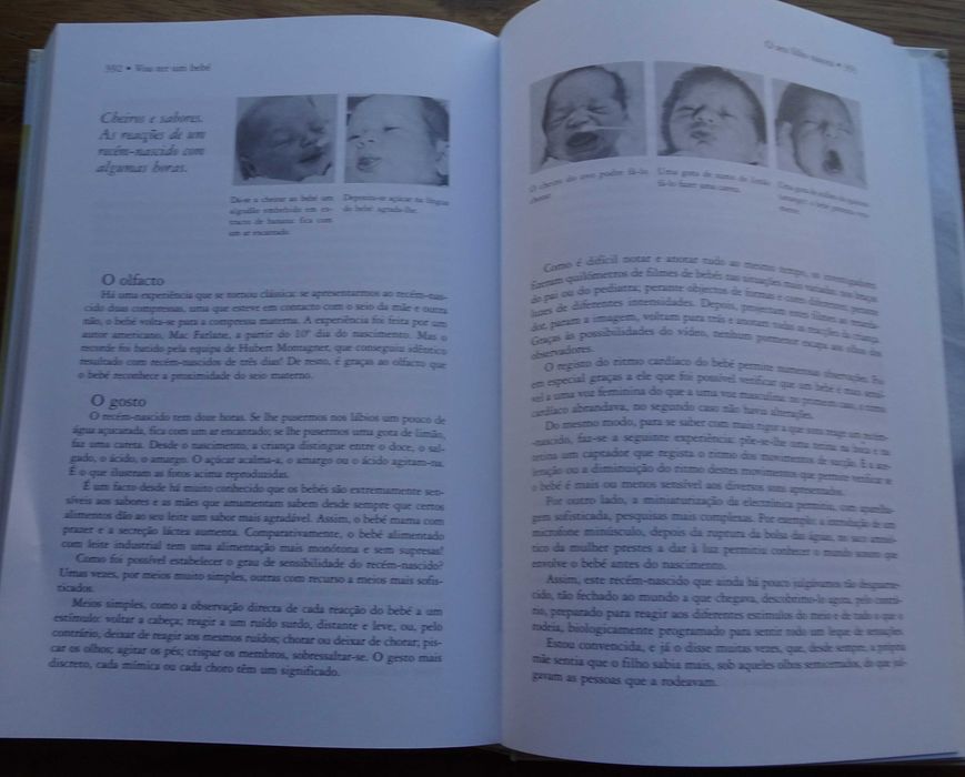 Vou Ter Um Bébé de Laurence Pernoud