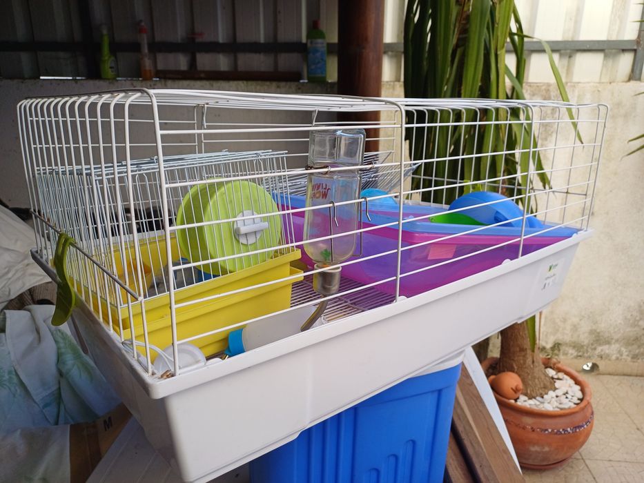 Gaiolas para coelho e hamester