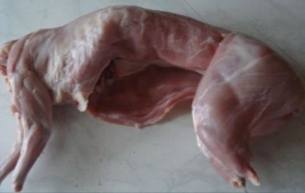 Продам тушки м'ясо кролика