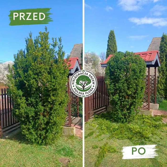 Pielęgnacja i wycinka drzew, usługi ogrodnicze - Polska Flora