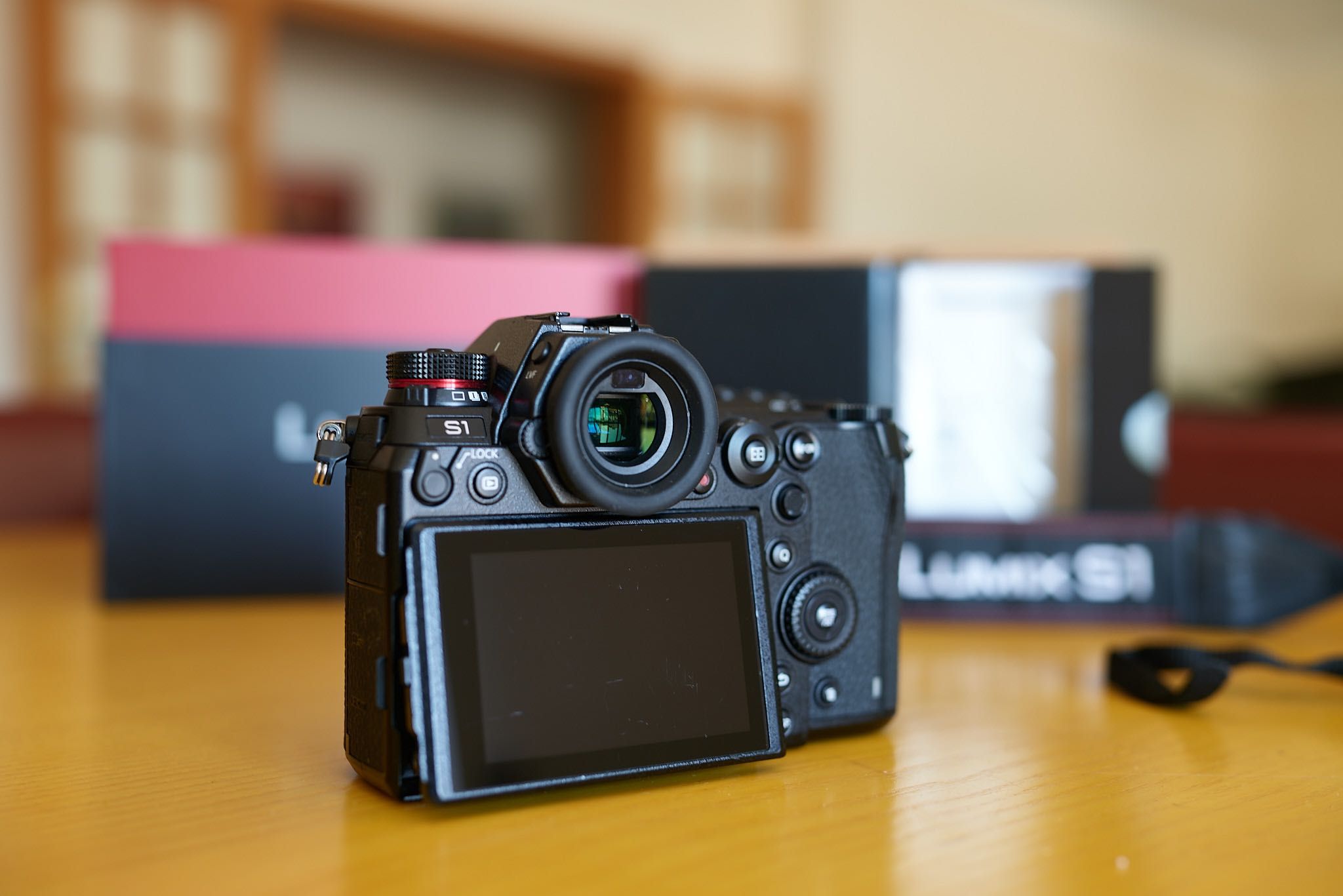 Panasonic Lumix S1 - em excelente estado.