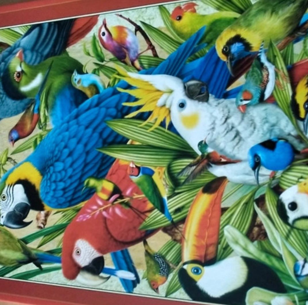 Puzzle animais exóticos