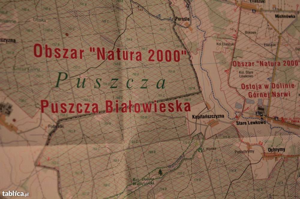 Narewka i okolice-Białowieski Park Narodowy-mapa-645