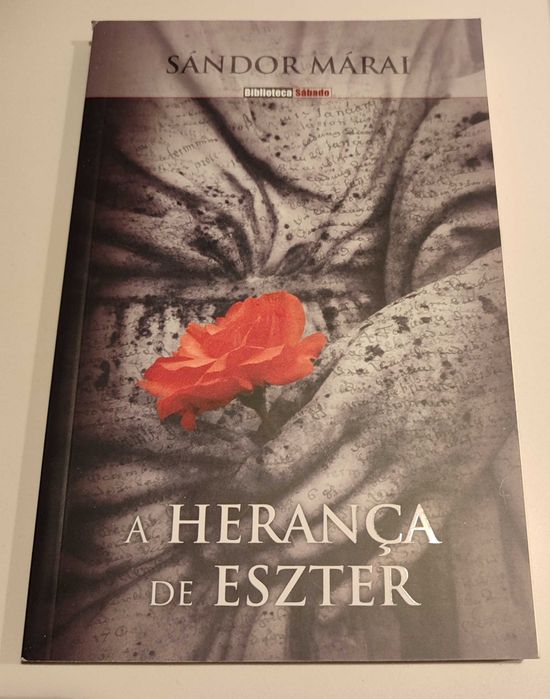 O Físico, de Noah Gordon