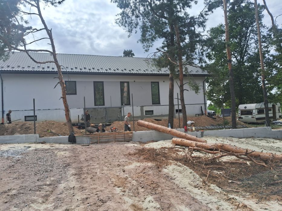 Спил, обрізка плодових, розпил дров