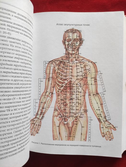 Практическое руководство по лечению заболеваний. Иглотерапия
