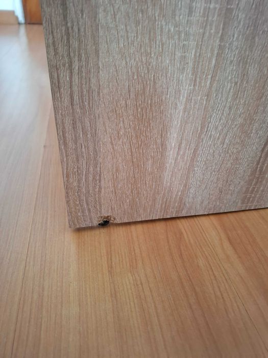 Secretaría boas condições.