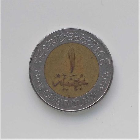 Две монеты Египта 1 фунт, 2007 и 2008, VF