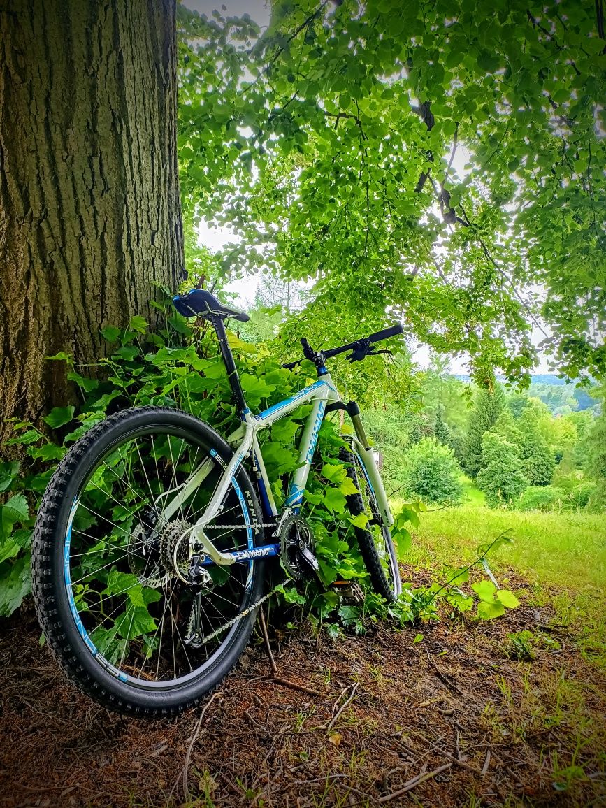 Diamant APEX T4 MTB 26"