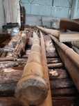Bambu para jardim e bricolage6