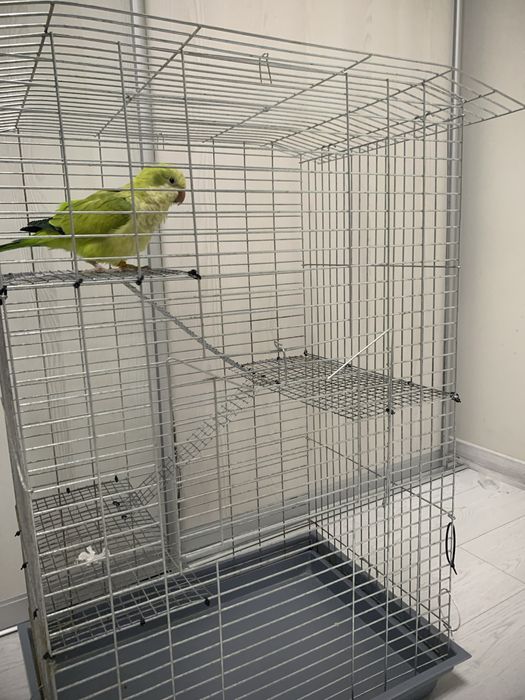 Клітка для середніх папуг 550 гривень