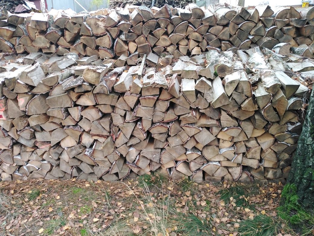 Drzewo opałowe poszczepanego brzoza