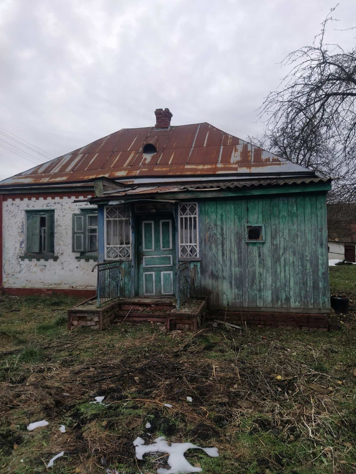 Будинок з присадибною ділянкою в селі Дубовий Гай.Прилуцький район.