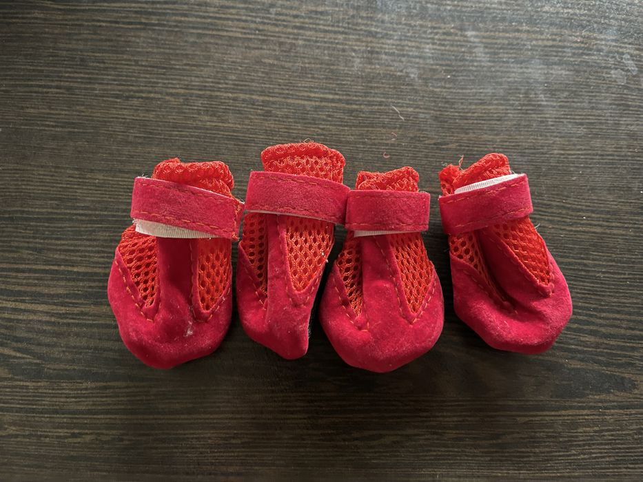 Взуття для собак/котів