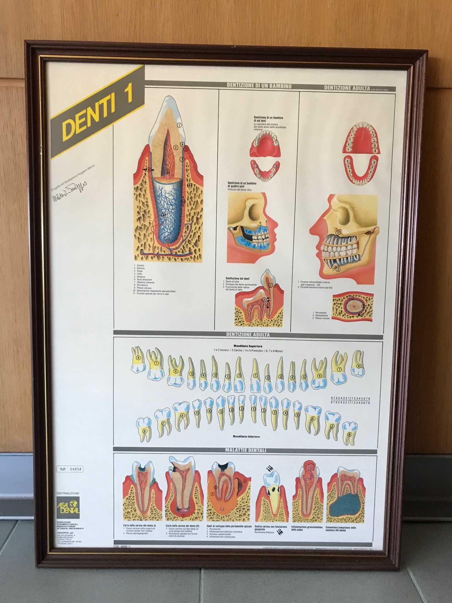 Quadros de Medicina Dentária