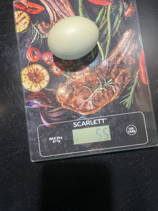 Домашнее куриное яйцо