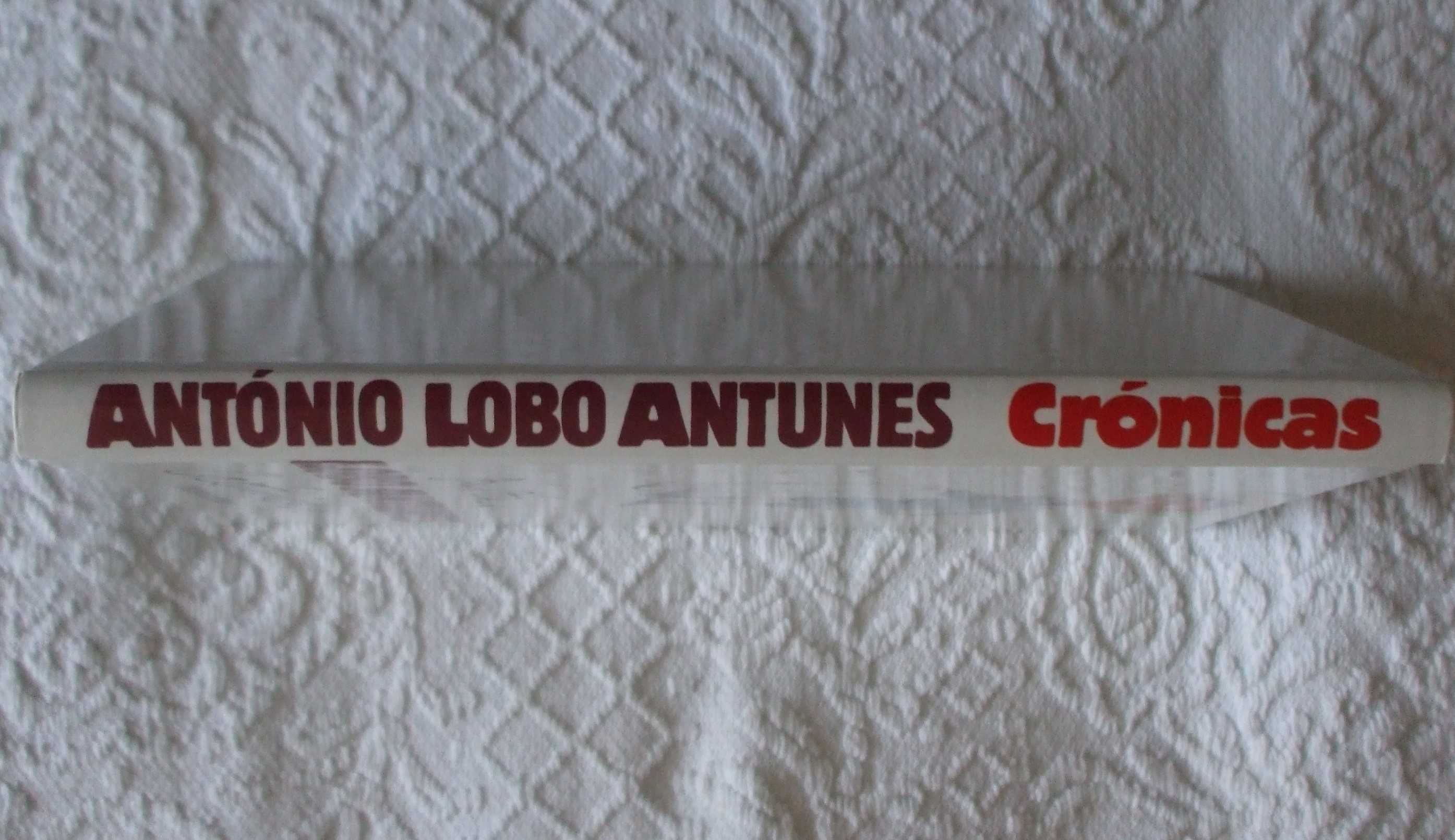 Crónicas do Público 1, António Lobo Antunes