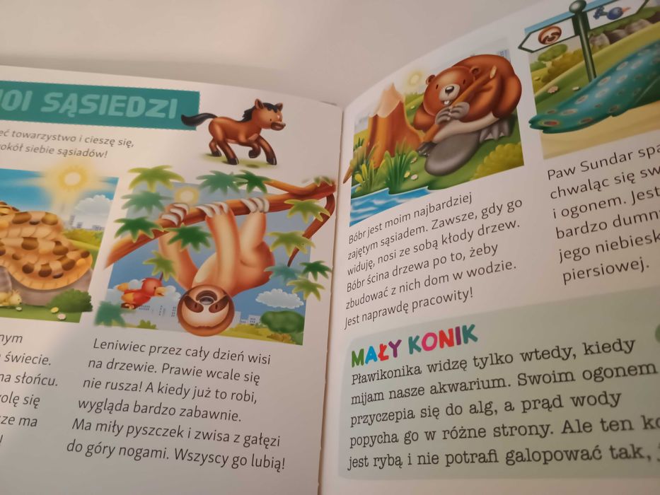 Książka Koń Ray z figurkami