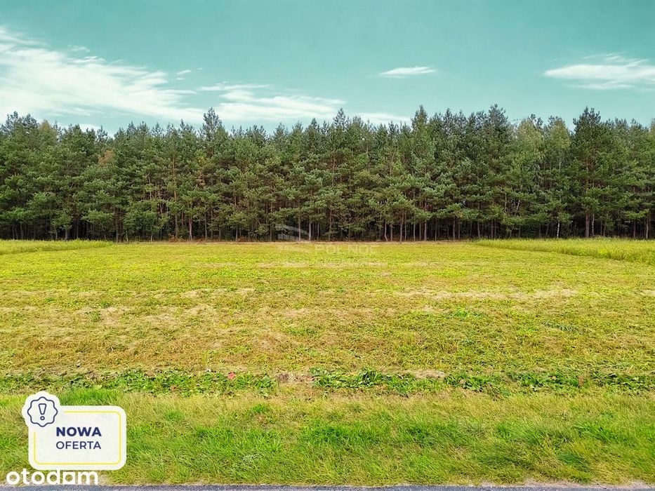 Działka budowlana w otoczeniu lasu