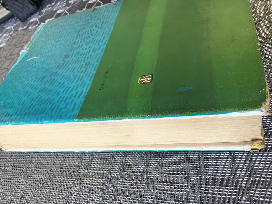 302. Książka dolina tęczy  rilla z złotego brzegu