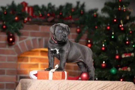 Кращі з кращих,гарантовано