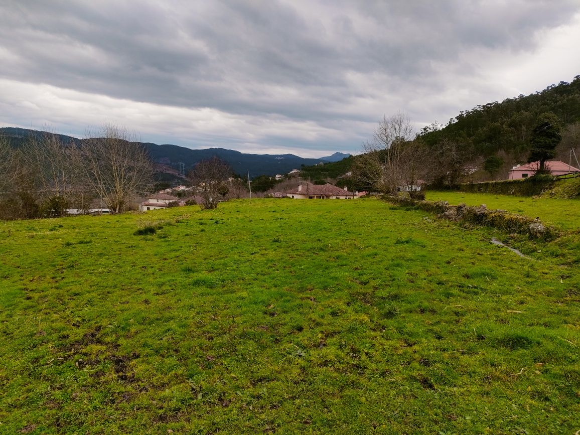 Quinta com 20 000 M2 em Santa Marinha - Ribeira Pena