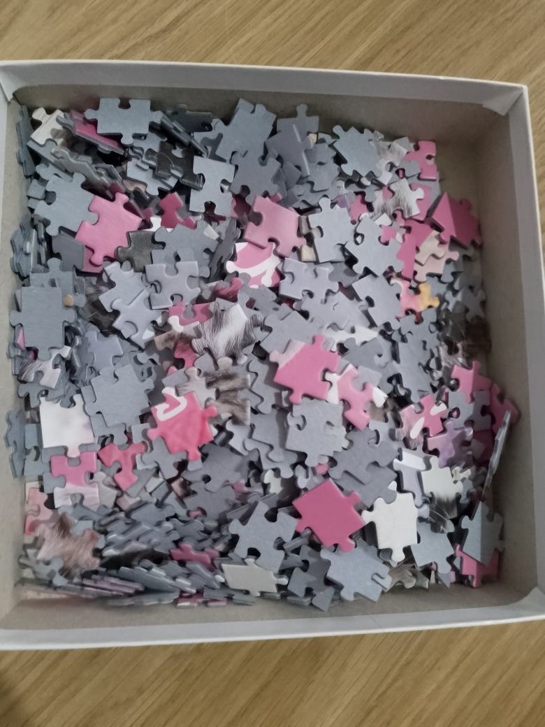 Puzzle trefl z kotami