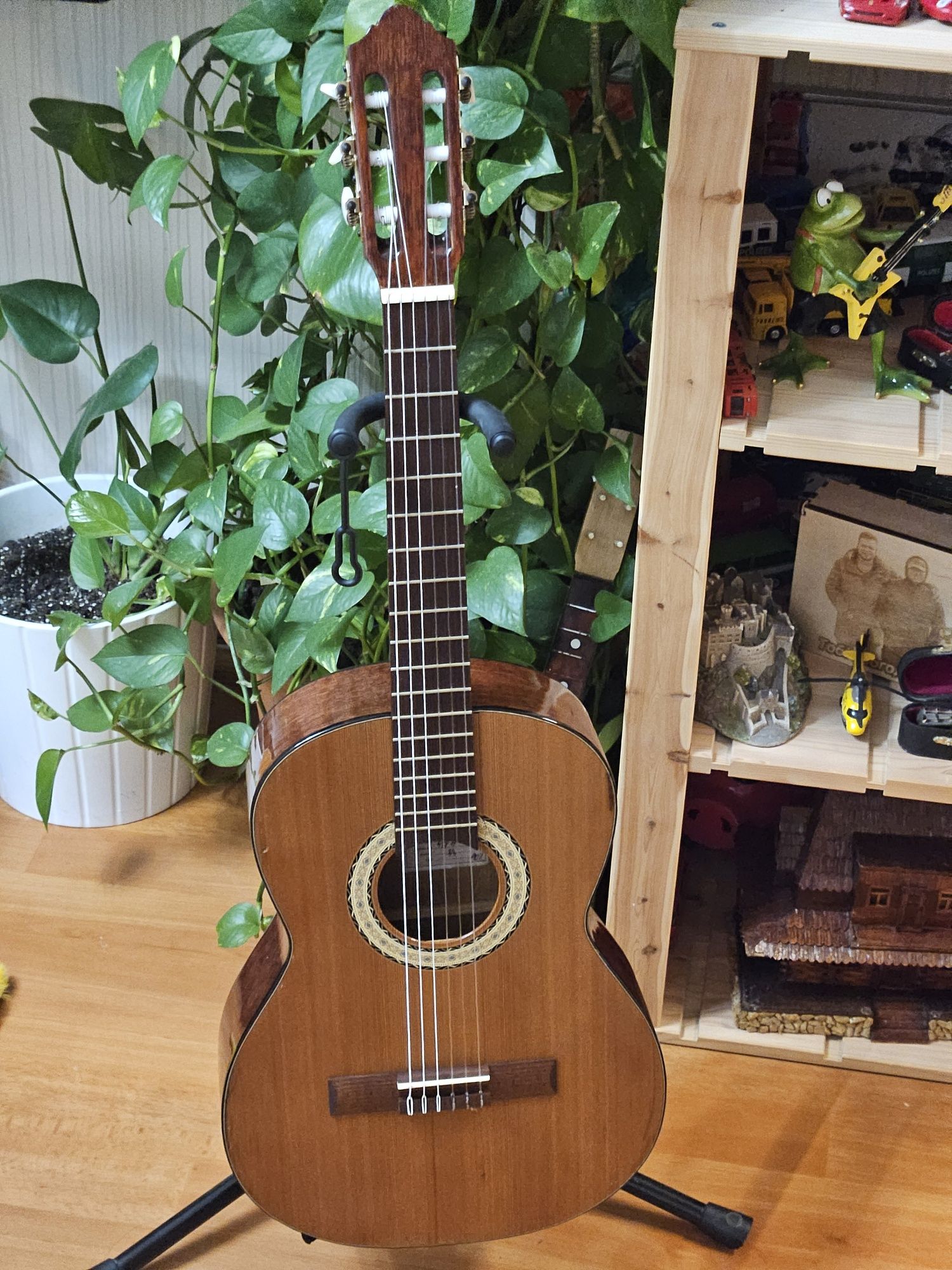 Gitara klasyczna Strunal 3/4