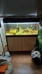 Aquário com movel 200L