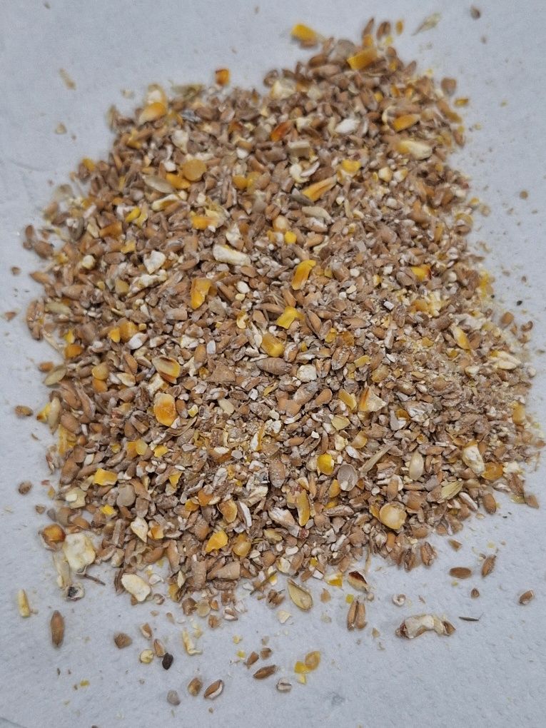 Karma Pasza Dla Kur Niosek 25kg