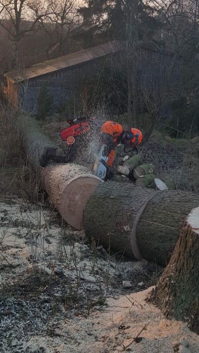 Wycinka drzew. Pilarz-drwal, arborysta. Wykaszanie zarośli.