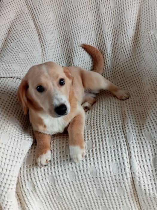 JASIO i MAŁGOSIA - dwa małe serca w drodze po swoją bajkę!