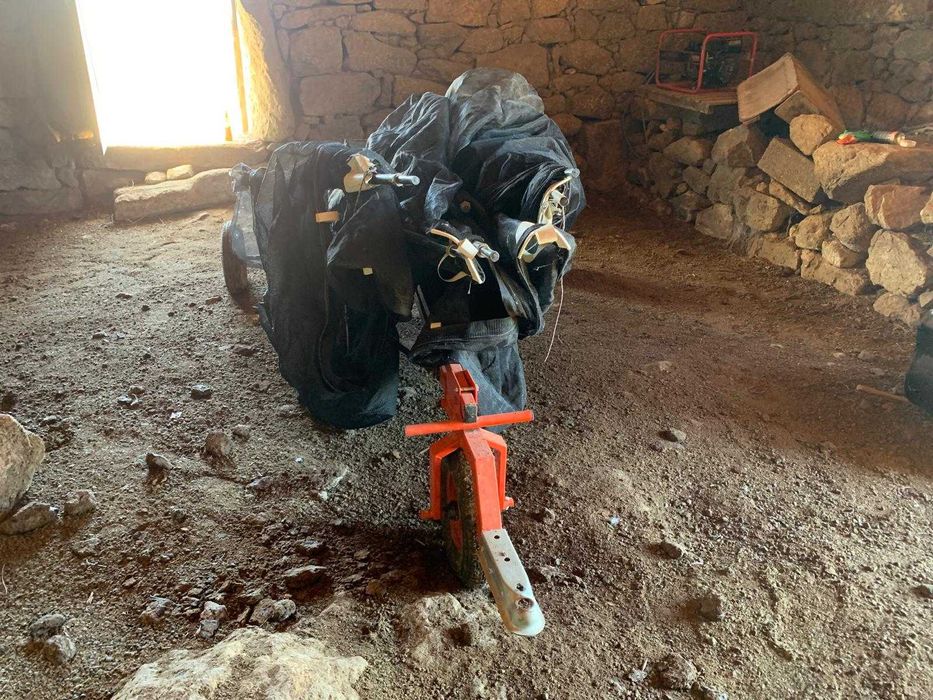 Rede professional para aceitona