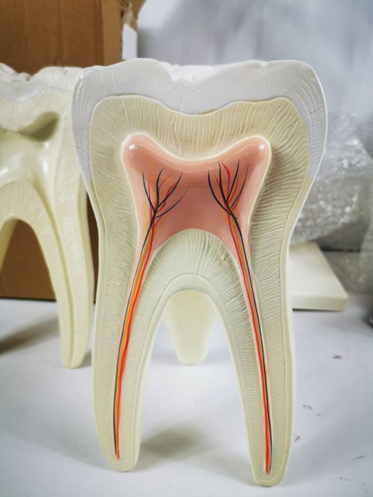 Услуги 3д печати и сканирования/3д печать/3д сканирование