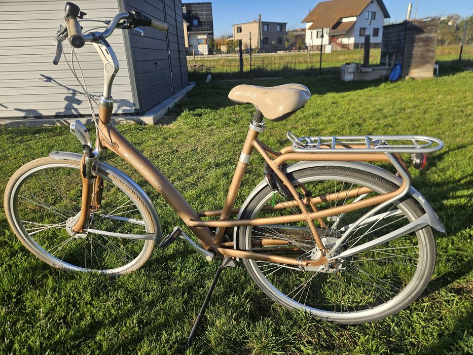 Rower Holenderski Batavus